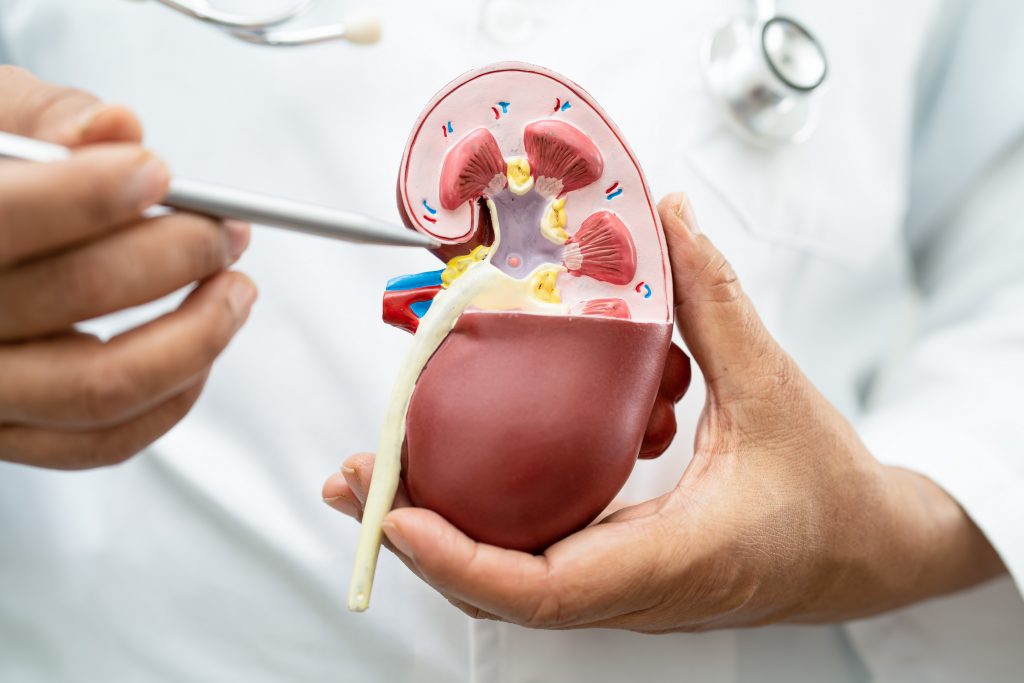 chronic kidney disease