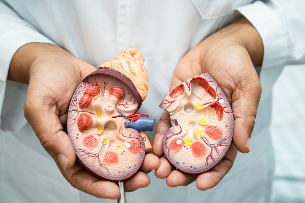 Inherited Kidney Diseases