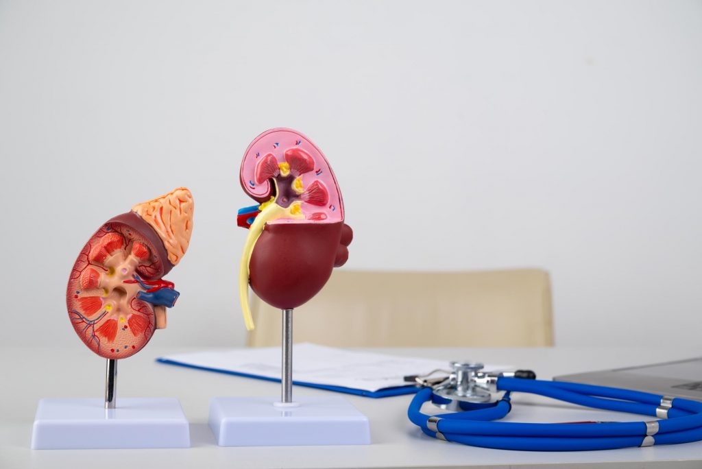 The Early Signs and Symptoms of Chronic Kidney Disease