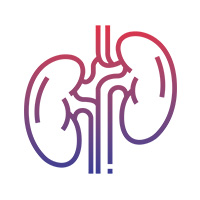 The Early Signs and Symptoms of Chronic Kidney Disease