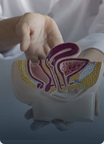 Testicular Health Matters: Essential Tips Every ManShould Know