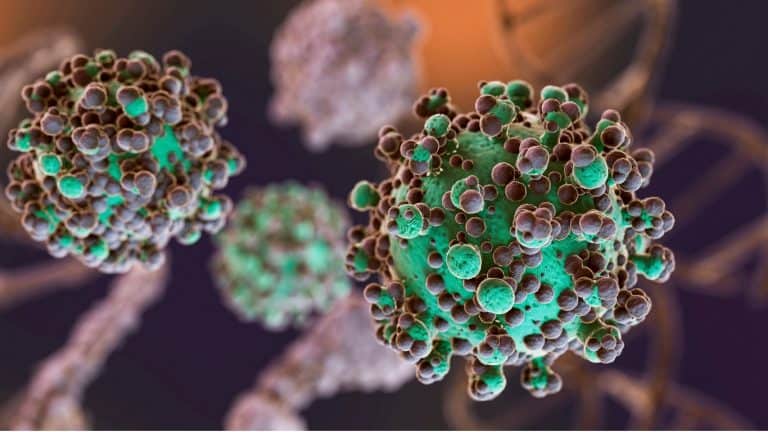 Understanding Hantavirus: Causes, Symptoms & Prevention Tips