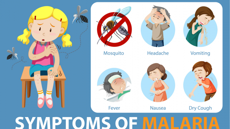 Malaria Symptoms & Warning Signs: When to See a Doctor